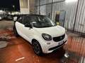 smart forFour forfour 70 1.0 Passion Weiß - thumbnail 1