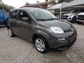 Fiat New Panda 1000 HYBRID CITY LIFE 70CV 5 POSTI PDC ITALIA Grijs - thumbnail 2