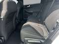 Ford Kuga 2.5 Duratec FHEV TITANIUM 112 kW, 5-türig Wit - thumbnail 8