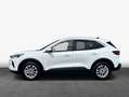 Ford Kuga 2.5 Duratec FHEV TITANIUM 112 kW, 5-türig Wit - thumbnail 4