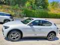 Alfa Romeo Stelvio 2.2 T.d. 160CV AT8 RWD Sprint Bianco - thumbnail 8