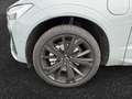 Volvo XC60 T6 Plus Black Edition/ Hybdrid Gris - thumbnail 14