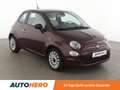 Fiat 500 1.0 Mild-Hybrid Lounge*PDC*KLIMA*TEMPO* Violett - thumbnail 8