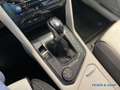 Volkswagen Tiguan 2.0 TSI Elegance 4Motion DSG*AreaView*Pano*Navi*Ma Weiß - thumbnail 14