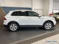 Volkswagen Tiguan 2.0 TSI Elegance 4Motion DSG*AreaView*Pano*Navi*Ma Weiß - thumbnail 3