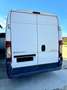Peugeot BOXER Bianco - thumbnail 3