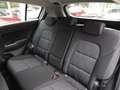 Kia Sportage Sportage 1.6 CRDI 136 CV 2WD Mild Hybrid Business Grigio - thumbnail 13