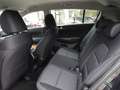 Kia Sportage Sportage 1.6 CRDI 136 CV 2WD Mild Hybrid Business Grigio - thumbnail 12
