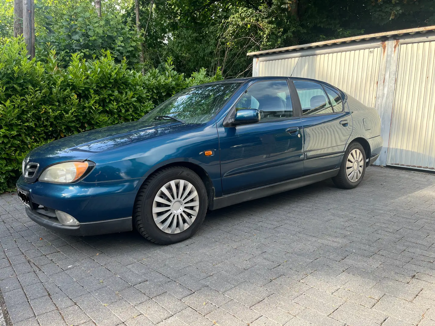 Nissan Primera Primera 1.6 Comfort Mavi - 2