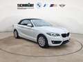 BMW 218 i Cabrio Sport Line + 2Jahre-BPS.-GARANTIE Weiß - thumbnail 9