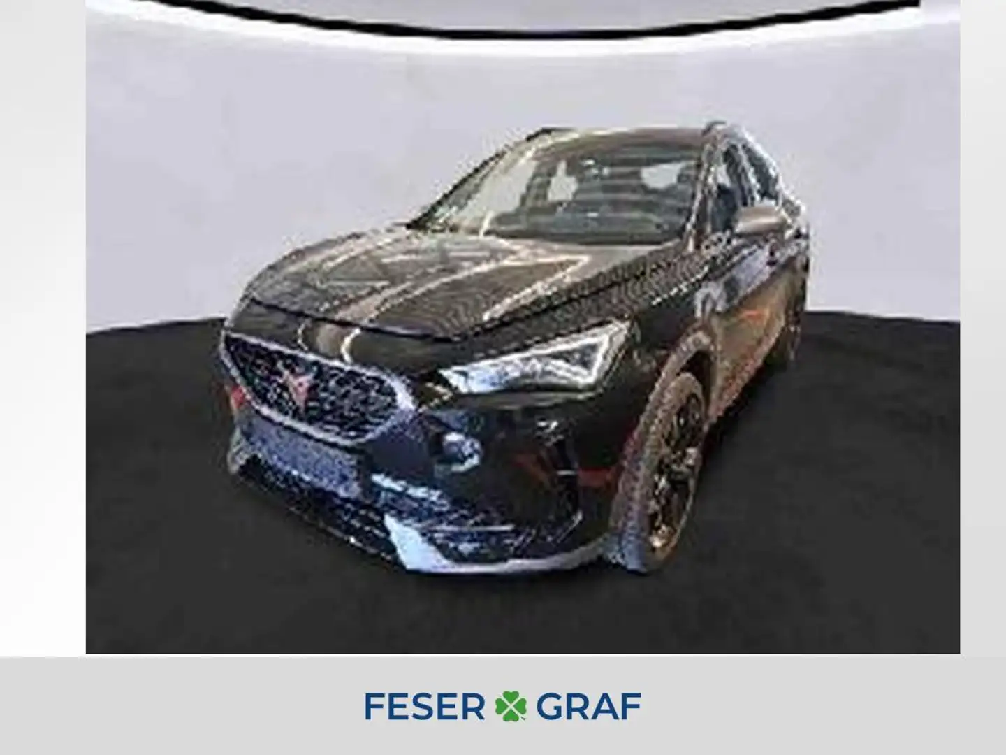 CUPRA Formentor VZ 2.0 TSI Navi/Allrad/ACC Zwart - 1