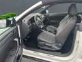Volkswagen T-Roc Cabriolet R-Line 1.5 TSI+Navi+Sportfahrwerk+Kamera Wit - thumbnail 8