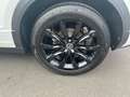 Volkswagen T-Roc Cabriolet R-Line 1.5 TSI+Navi+Sportfahrwerk+Kamera Wit - thumbnail 13