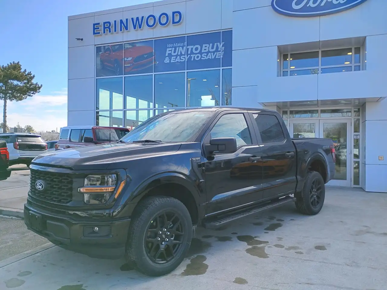 Ford F 150 photo Ford F 150