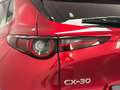 Mazda CX-30 Selection Automatik Kamera Acc Led Dab Rot - thumbnail 12