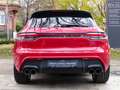 Porsche Macan Exclusive*Panorama*PDLS+*20Zoll*Leder*1.Hd Rot - thumbnail 9