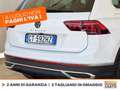 Volkswagen Tiguan 2.0 tdi elegance 150cv dsg Bianco - thumbnail 20