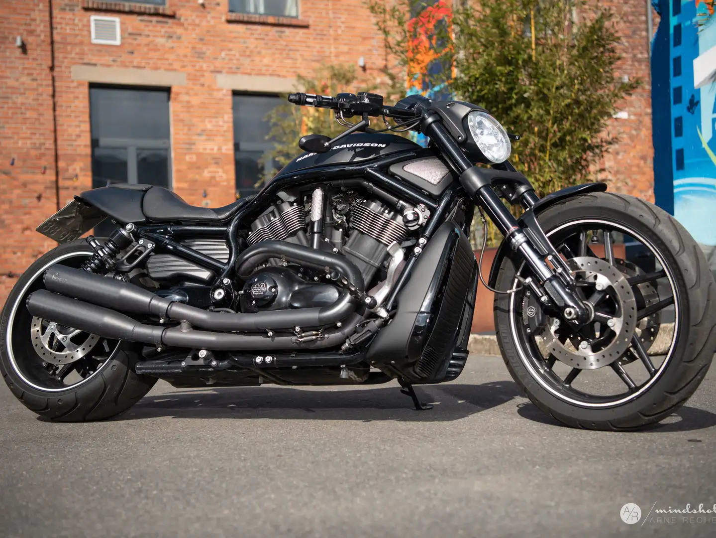 Harley-Davidson V-Rod Night Rod Special Black - 1