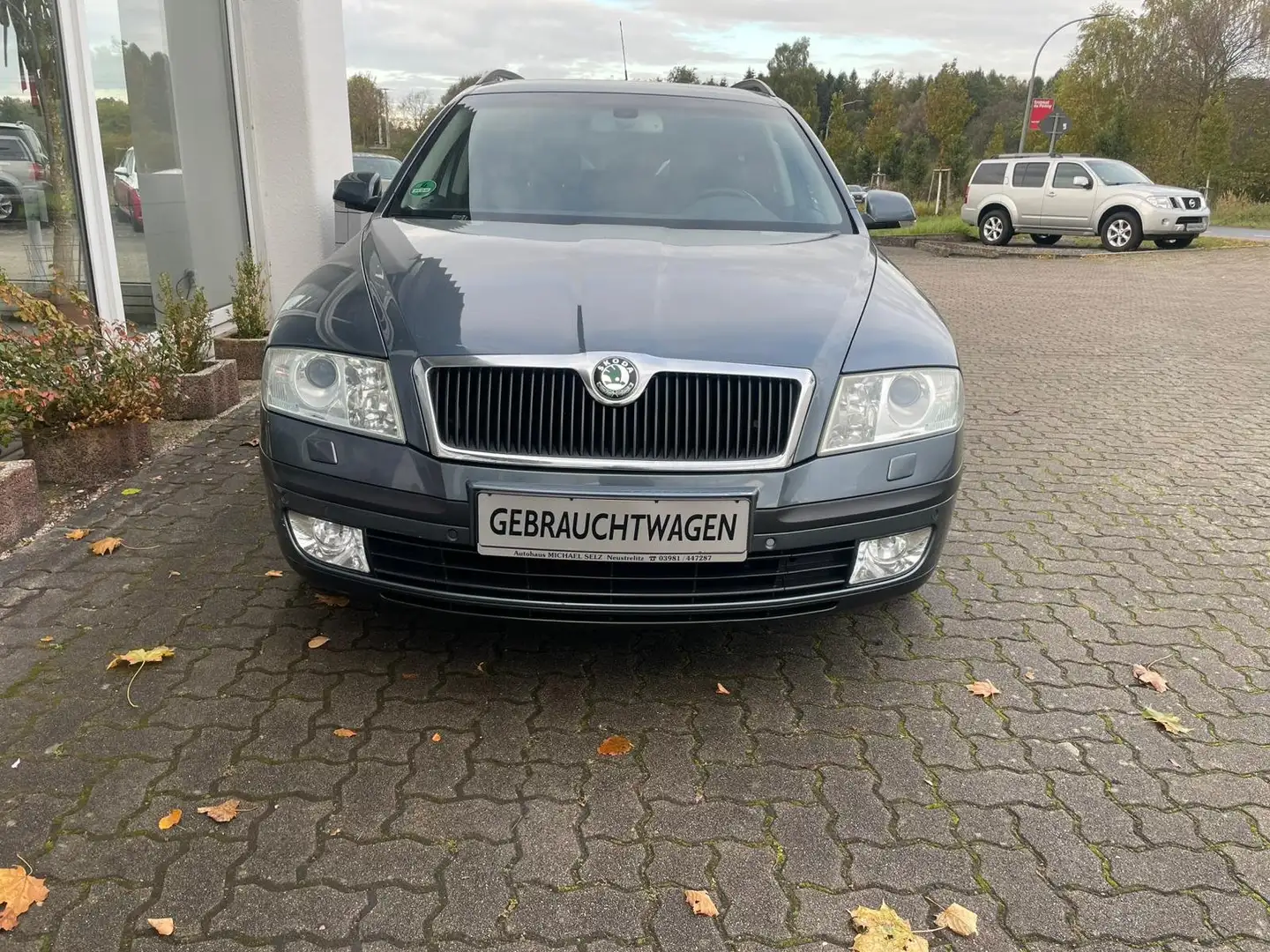 Skoda Octavia Elegance Grau - 1