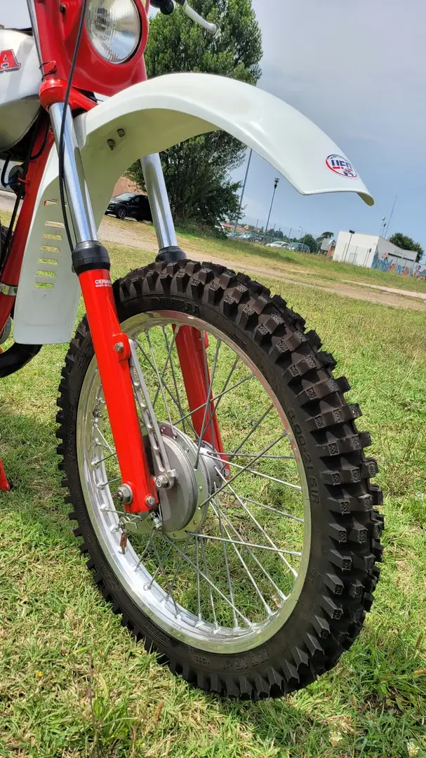 Beta Evo 250 250 GS Rosso - 1