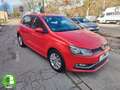 Volkswagen Polo 1.2 TSI BMT Advance DSG 66kW Rojo - thumbnail 8