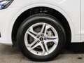 Audi Q5 adv. 40 TFSI qu. S-Tronic Weiß - thumbnail 10