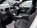 Mercedes-Benz B 220 4M , NIGHT PROGRESSIVE MEMO KAMERA SPUR Weiß - thumbnail 14