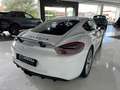 Porsche Cayman GTS PDK Blanco - thumbnail 6