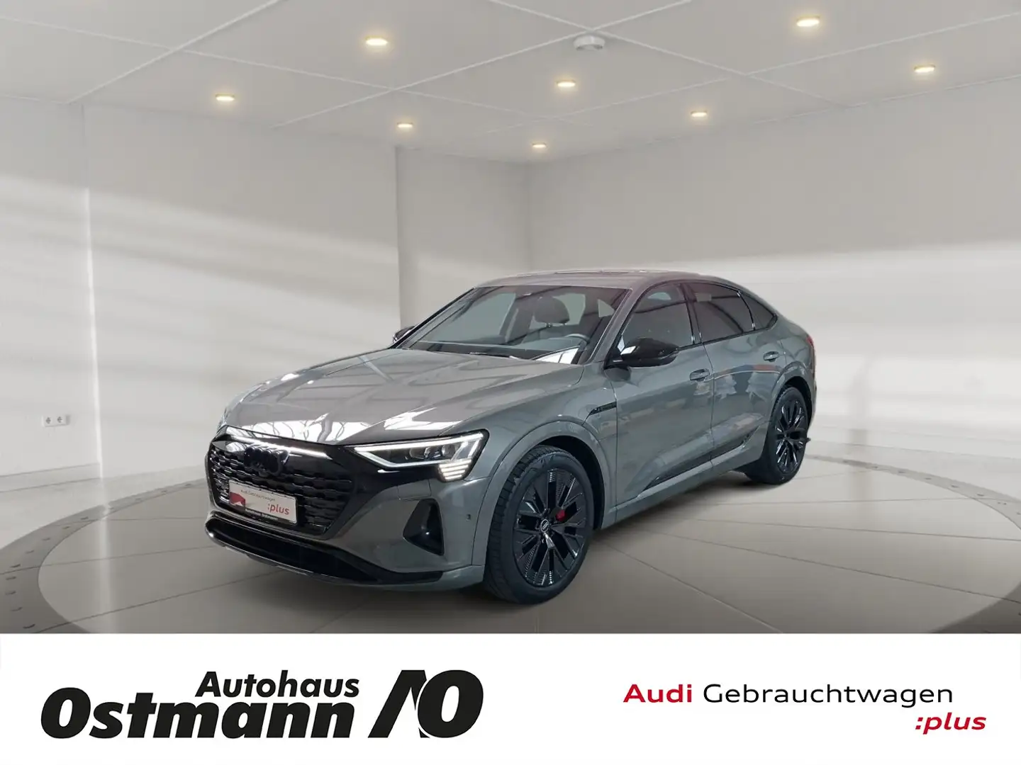 Audi Q8 e-tron Q8 Sportback e-tron 50 quattro S-Line AHK Matrix Grau - 1