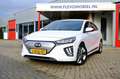 Hyundai IONIQ Premium EV 38 kWh Aut. Белый - thumbnail 1