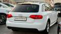 Audi A4 1,8 TFSI Quattro *Top-Ausstattung +Pickerl Neu Av Weiß - thumbnail 3