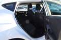 Ford Fiesta Cool & Connect TÜV/AU NEU/SPURHALTE/NAVI Weiß - thumbnail 10