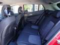 Kia Sportage Sportage 1.6 TGDi HEV AT Style Rosso - thumbnail 10