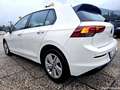 Volkswagen Golf VIII 1.5 TGI "Life" 130cv DSG - PRONTA CONSEGNA! Bianco - thumbnail 6
