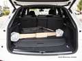 Audi Q5 50 TFSI e qu. S tronic S line Luftfed/Pano Weiß - thumbnail 23