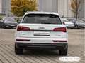 Audi Q5 50 TFSI e qu. S tronic S line Luftfed/Pano Weiß - thumbnail 8