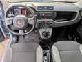 Fiat Panda 1.0 hybrid 5 Posti OK NEOPATENTATI Grigio - thumbnail 14
