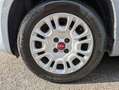 Fiat Panda 1.0 hybrid 5 Posti OK NEOPATENTATI Grigio - thumbnail 19