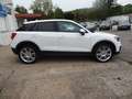 Audi Q2 /Super-Optik/Navi/Euro6/2.Hd/Alu/PDC/Garantie/ Blanco - thumbnail 6