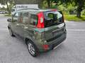 Fiat Panda Rock 4x4 Klima (neue PICKERL) Grün - thumbnail 6