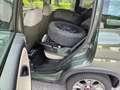 Fiat Panda Rock 4x4 Klima (neue PICKERL) Grün - thumbnail 17