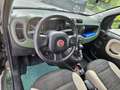 Fiat Panda Rock 4x4 Klima (neue PICKERL) Grün - thumbnail 10