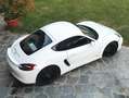 Porsche Cayman 3.4 S 325cv E6 PERMUTO CON BOXSTER bijela - thumbnail 4