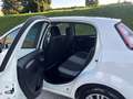 Fiat Punto Evo 5p 1.3 mjt Sport s&s 95cv - thumbnail 13