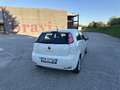 Fiat Punto Evo 5p 1.3 mjt Sport s&s 95cv - thumbnail 7
