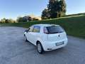 Fiat Punto Evo 5p 1.3 mjt Sport s&s 95cv - thumbnail 8
