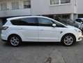 Ford S-Max 2.0 EcoBlue Aut. Titanium*Leder*Sitzheizung*AHK* Alb - thumbnail 5