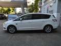 Ford S-Max 2.0 EcoBlue Aut. Titanium*Leder*Sitzheizung*AHK* Alb - thumbnail 3