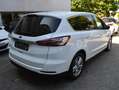Ford S-Max 2.0 EcoBlue Aut. Titanium*Leder*Sitzheizung*AHK* Alb - thumbnail 6