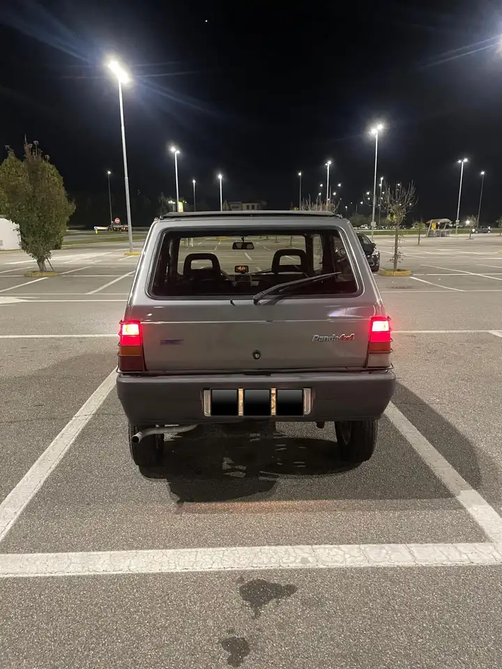 Fiat Panda 1.0 4x4 my86, foto 2